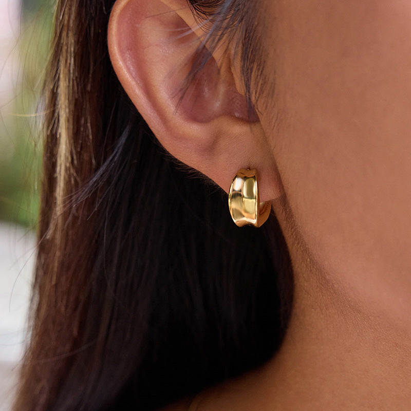 2H Stainless Steel gold Earrings Studs Non-Fading Ear Jewelry for Women