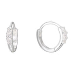 SE0247 S925Silver Brilliant Zircon Earrings Zircon Earrings