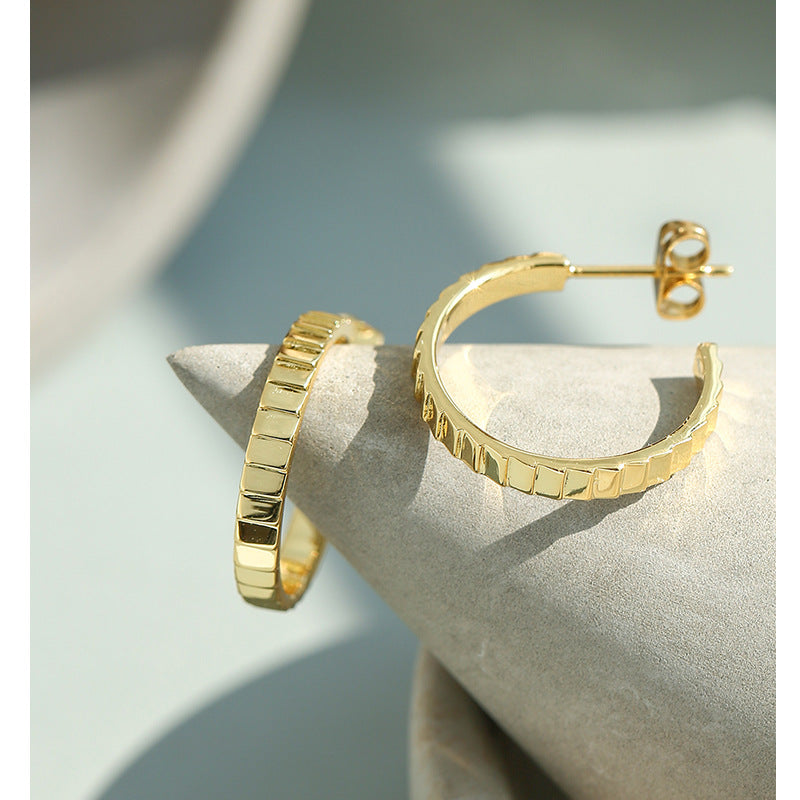 925Hypoallergenic Silver Needle Earrings Exaggerated Metal Round Hoop Earrings Gear Small Chanel Style Simple Hoop Earrings