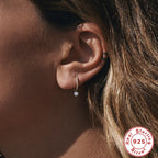 S925Sterling Silver Zircon Pendant Earrings Hot Selling Fashion Earrings Earrings