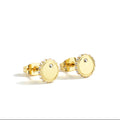 Gold-Plated Brass Round Zircon Stud Earrings — product close-up — jewelry finish and design detail