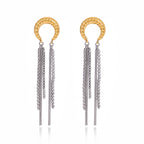 2H Stainless Steel Moon Tassel Earrings Ear Hoops Non-Fading Ear Jewelry