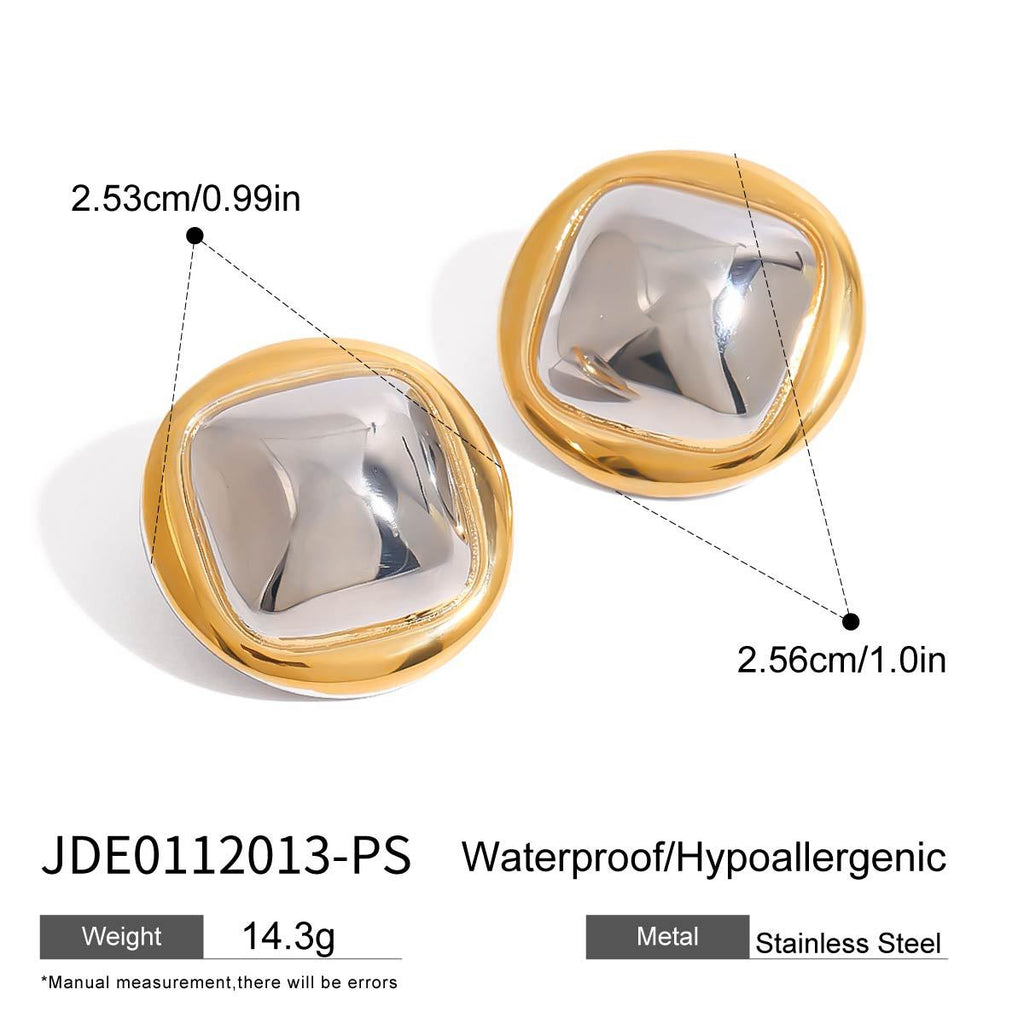 Stainless Steel Earrings Ear Studs Ear Jewelry earrings