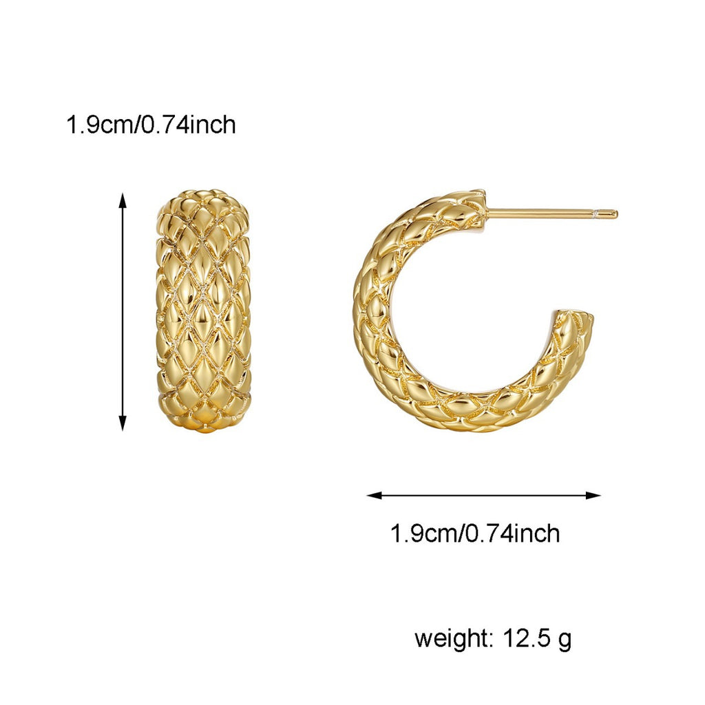 E0493 Fashion Retro C Snake Scale Pattern Earrings for Women, Copper Gold-Plated Simple Earrings
