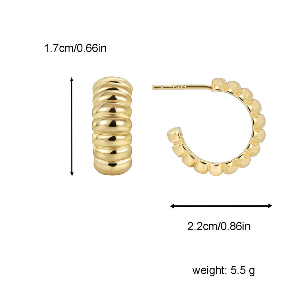 E0280Avant-garde Exaggerated Design Metal Personality Twisted Texture Horn Bag Earrings Studs for Women