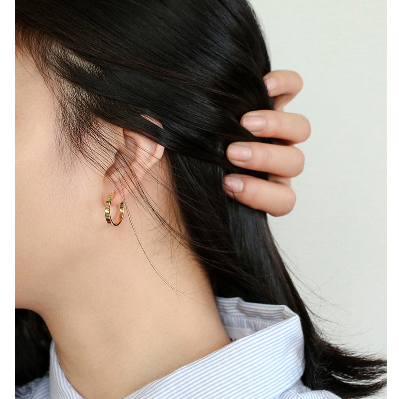 925Hypoallergenic Silver Needle Earrings Exaggerated Metal Round Hoop Earrings Gear Small Chanel Style Simple Hoop Earrings