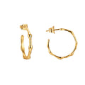 14K Gold-Plated Brass Asymmetric Magma Hoop Earrings — front view — jewelry finish and design detail