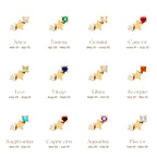 S925Sterling Silver Five-Pointed Star Zodiac Birthstone Inlaid Diamond Stud Earrings Creative Earrings Jewelry