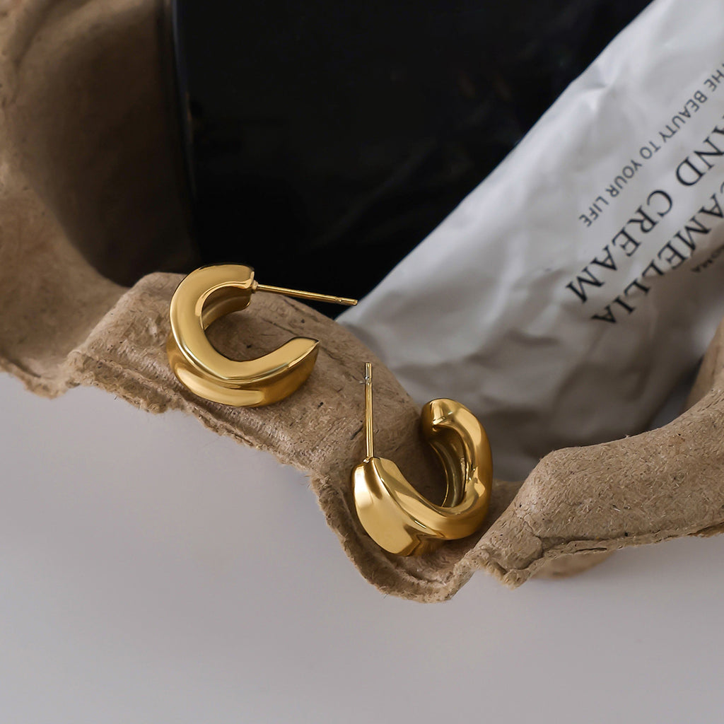 2H Stainless Steel gold Earrings Studs Non-Fading Ear Jewelry for Women