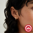 S925Sterling Silver Inlaid Diamond Floral Hoop Earrings Hot Sale Simple Daily Matching Classic Earrings