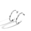 Gold-Plated Brass Star Zircon Hoop Earrings — product close-up — jewelry finish and design detail