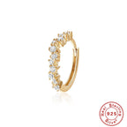 S925Sterling Silver Classic Super Sparkling Diamond Earrings Earrings Trendy Earrings