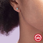 Fashion Hot-Selling Turquoise Petal Earrings s925Sterling Silver Diamond Earrings Jewelry Earrings