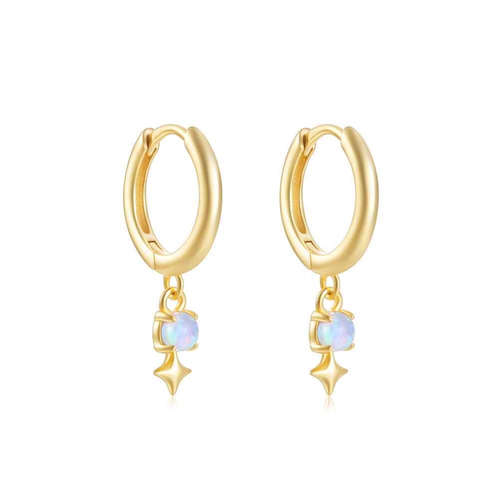 S925Sterling Silver Star Opal Inlaid Diamond Opal Hoop Earrings Hot-Selling Style Earrings