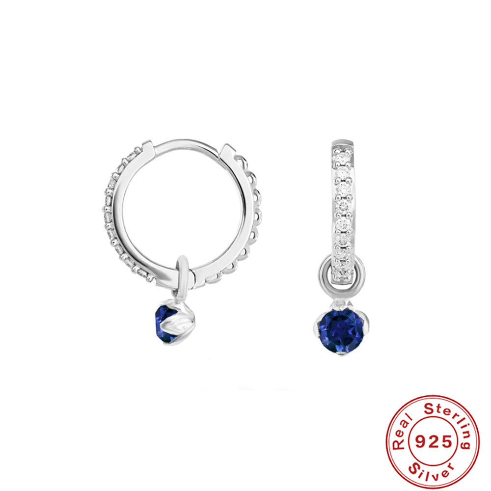 S925Sterling Silver Diamond-Studded Hoop Earrings Hot-Selling Creative Style Earrings