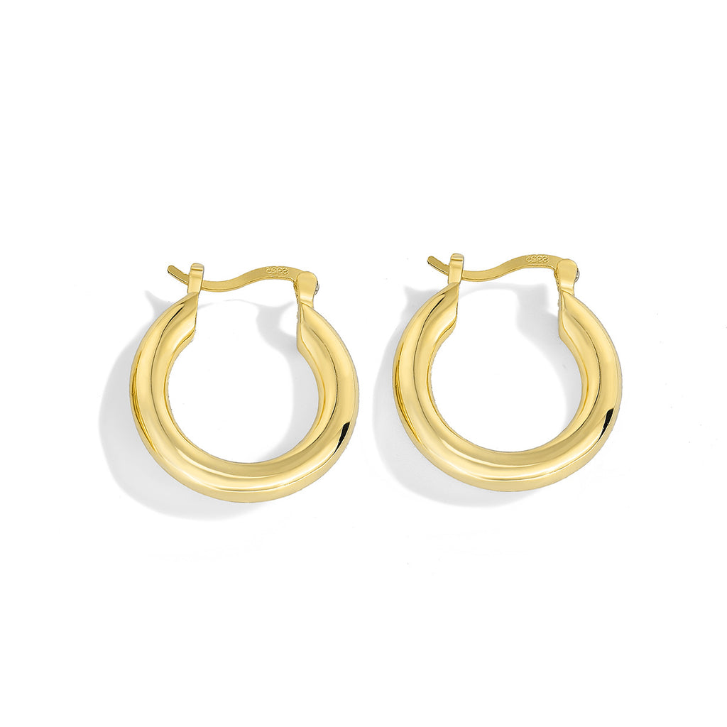 E0201 Basic Gold-Plated Smooth Earrings for Women, Simple Style with Metallic Texture Hoops
