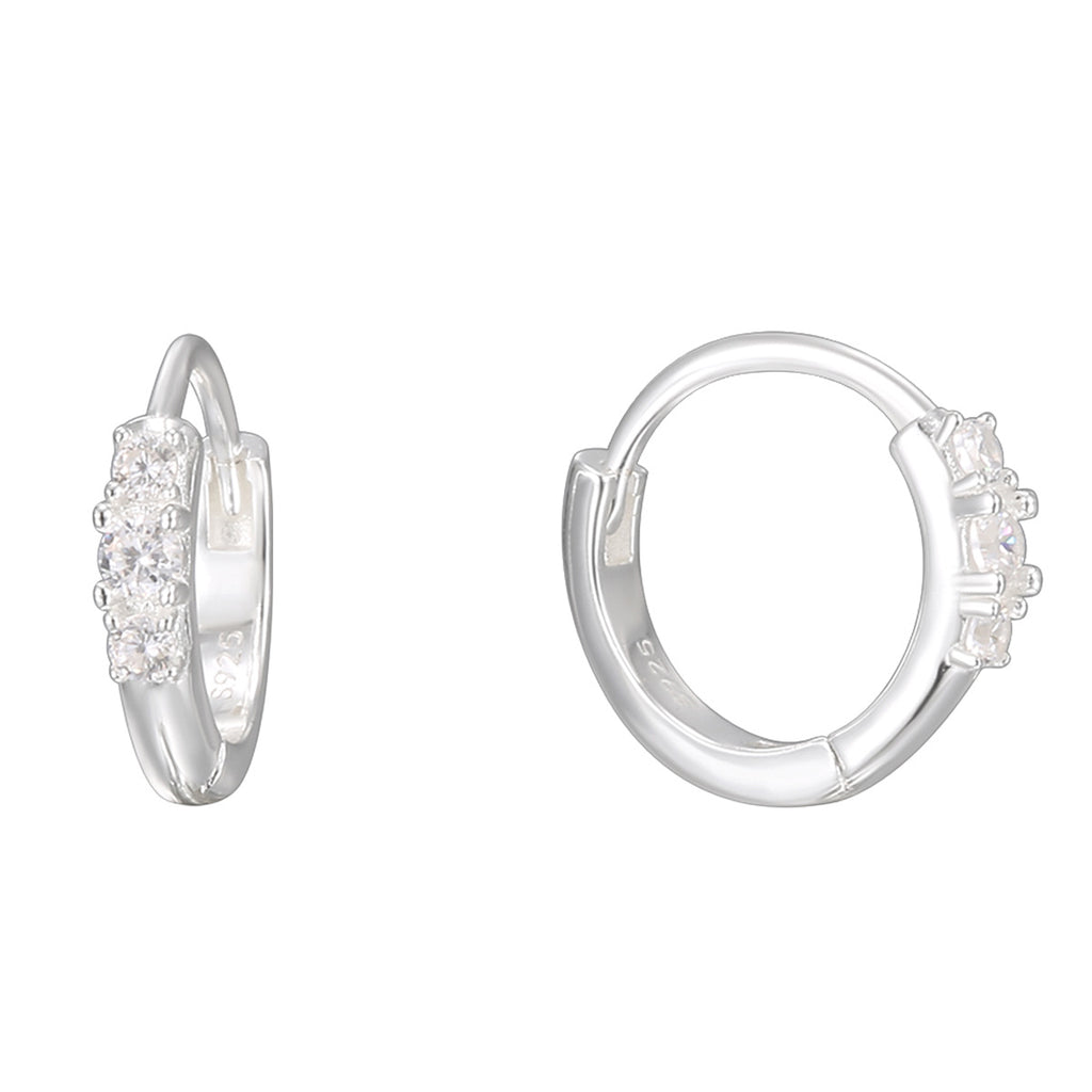 SE0247 S925Silver Brilliant Zircon Earrings Zircon Earrings