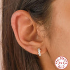 S925Sterling Silver Cluster Diamond Earrings Hot Selling Classic Hoop Hoop Earrings for Women