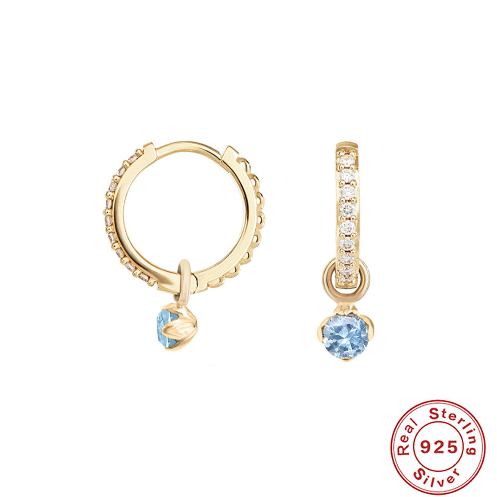 S925Sterling Silver Diamond-Studded Hoop Earrings Hot-Selling Creative Style Earrings