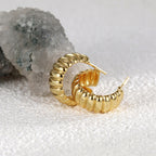 E0280Avant-garde Exaggerated Design Metal Personality Twisted Texture Horn Bag Earrings Studs for Women