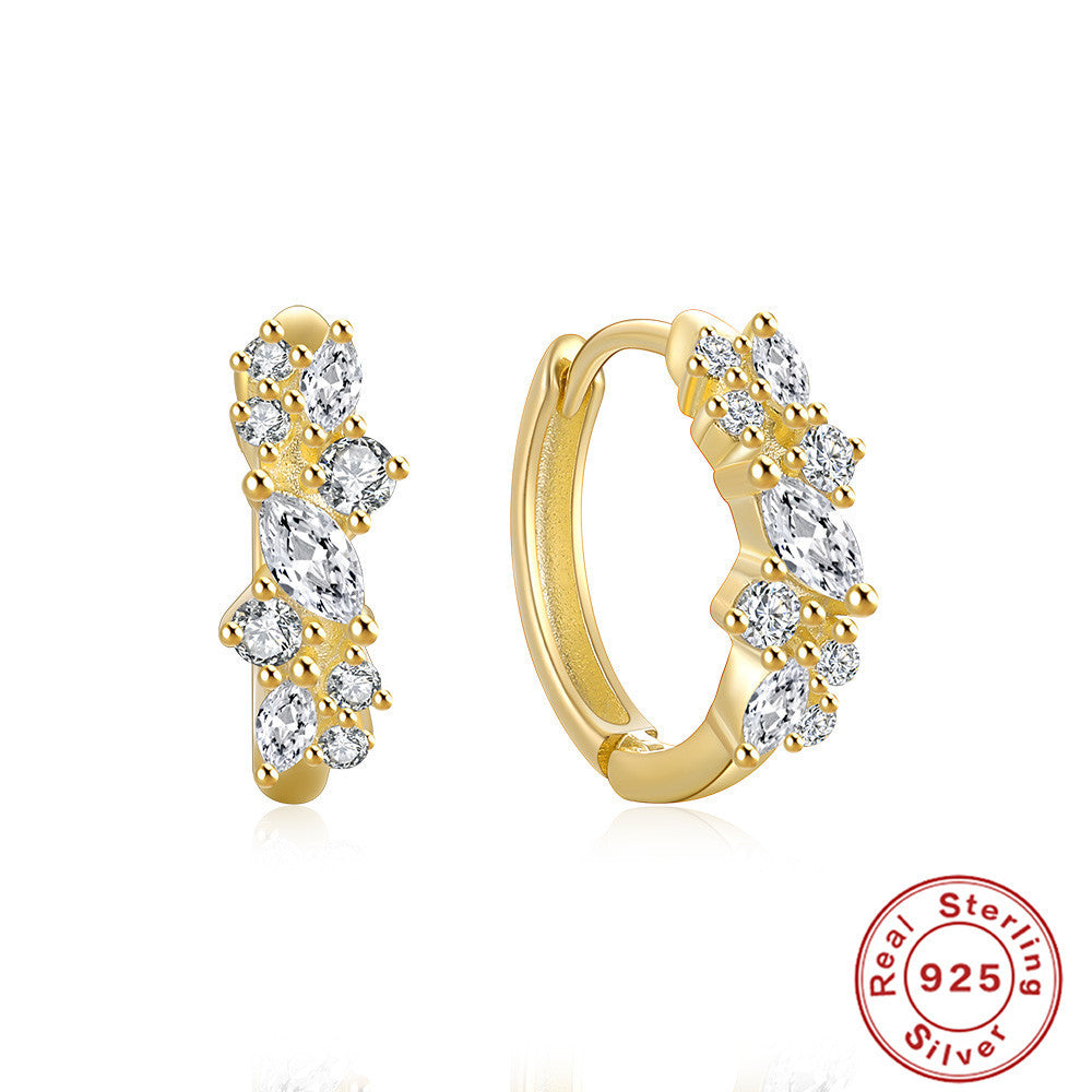 S925Sterling Silver Cluster Diamond Earrings Hot Selling Classic Hoop Hoop Earrings for Women
