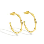 E0064Bamboo Section C Stylish Hoop Earrings Fashion Gold-Plated Ear Jewelry Hypoallergenic