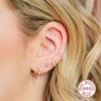 S925Sterling Silver Layered C Exaggerated Creative Style Earrings with Dense Studs and Claw Setting Double Steel Wire Hoop Earrings