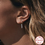 S925Sterling Silver Zircon Pendant Earrings Hot Selling Fashion Earrings Earrings