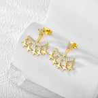 E0132 Korean Version Silver Needle Zircon Star Earrings for Women Trendy Fashion Stud Earrings One Pair Two Ways to Wear