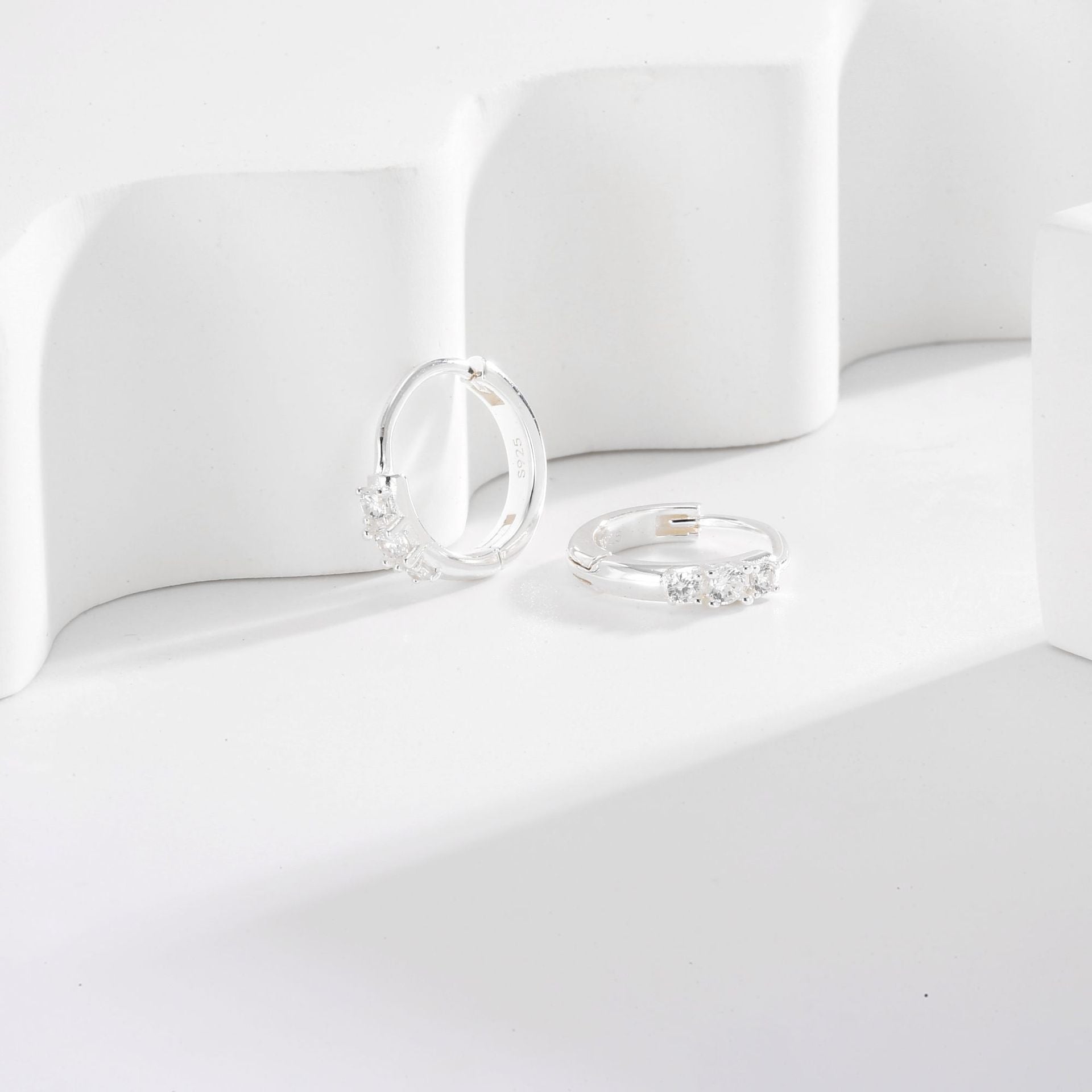 SE0247 S925Silver Brilliant Zircon Earrings Zircon Earrings